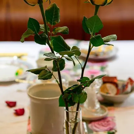 게스트하우스 Zur Rose *